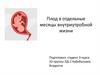 Плод в отдельные месяцы внутриутробной жизни