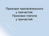 Признаки прилагательного у причастий. Признаки глагола у причастий