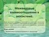 Межвидовые взаимоотношения в экосистеме