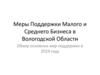 Меры поддержки малого и среднего бизнеса в Вологодской области