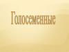 Голосеменные
