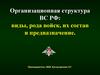Организационная структура ВС РФ: виды, рода войск, их состав и предназначение