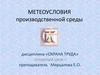 Метеоусловия производственной среды