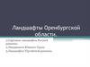 Ландшафты Оренбургской области. Сыртовые ландшафты Русской равнины