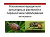 Насекомые - вредители культурных растений и переносчики заболеваний человека
