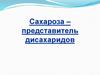Сахароза – представитель дисахаридов