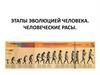 Этапы эволюцией человека. Человеческие расы