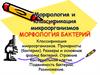 Морфология и классификация микроорганизмов. Морфология бактерий