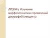 Изучение морфологических проявлений дистрофий (лекция 3)