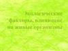Экологические факторы, влияющие на живые организмы