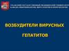 Возбудители вирусных гепатитов