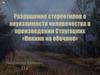 Разрушение стереотипов о неуязвимости человечества в произведении Стругацких «Пикник на обочине»