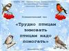 Трудно птицам зимовать птицам, надо помогать