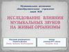 Исследование влияния музыкальных звуков на живые организмы