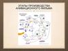 Этапы производства анимационного фильма
