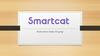 SmartCat