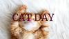Cat day