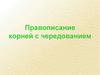 Правописание корней с чередованием