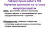 Изучение хромосом на готовых микропрепаратах. Лабораторная работа №1