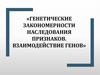 Генетические закономерности наследования признаков. Взаимодействие генов