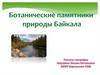 Ботанические памятники природы Байкала