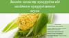 Заходи захисту кукурудзи від західного кукурудзяного жука