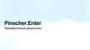 Pinscher. Enter. Промежуточные результаты