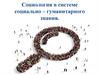 Социология в системе социально-гуманитарного знания