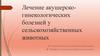 Лечение акушерско-гинекологических болезней у сельскохозяйственных животных
