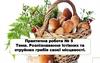 Розпізнавання їстівних та отруйних грибів своєї місцевості. Практична робота №5