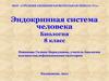 Эндокринная система человека. Биология. 8 класс