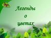Легенды о цветах