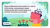 Многообразие растений по месту обитания, внешнему виду. Сравнение растений разных климатических условий
