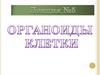Органоиды клетки. Лекция №5