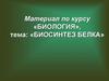 Биосинтез белка