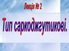 Тип саркоджгутикові