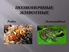 Позвоночные животные. Рыбы