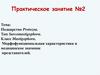 Подцарство Protozoa. Тип Sarcomastigophora. Практическое занятие №2