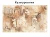 Культурология как наука. Лекция 1