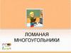 Ломанная. Многоугольники