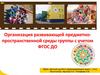 Организация развивающей предметнопространственной среды группы с учетом ФГОС ДО