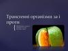 Трансгенні організми: за і проти