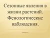 Сезонные явления в жизни растений. Фенологические наблюдения