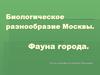 Биологическое разнообразие Москвы. Фауна города