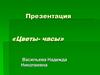 Цветы-часы. Одуванчик