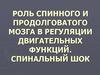 Роль спинного и продолговатого мозга в регуляции двигательных функций. Спинальный шок