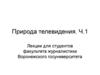Природа телевидения. Ч. 1