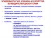 Эпидемиология, клиника и свойства возбудителей дизентерии. Источники заражения