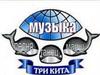 Музыка. Песня. Танец. Марш. Три кита