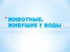 Животные, живущие у воды